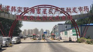 天津十大批发市场2026年最新热度口碑双榜对比