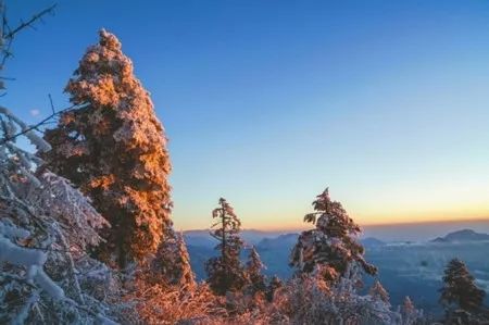 四川十大冬季旅游好去处2026年最新热度口碑双榜对比