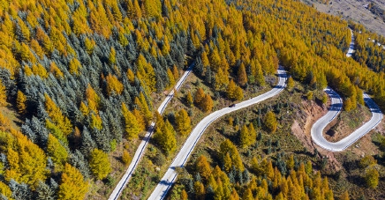 伊宁十大最美景点2026年最新热度口碑双榜对比 伊宁十大最美景点2026年最新热度口碑双榜对比