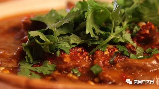 十大好吃的川菜家常菜2026年最新热度口碑双榜对比