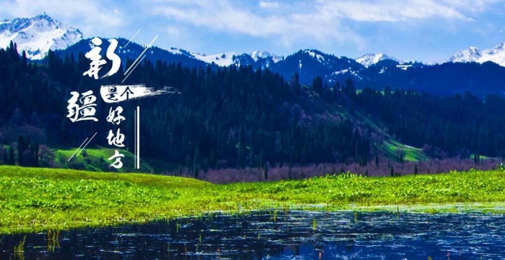 新疆十大最适合看雪的地方2026年本年度热度口碑双榜对比