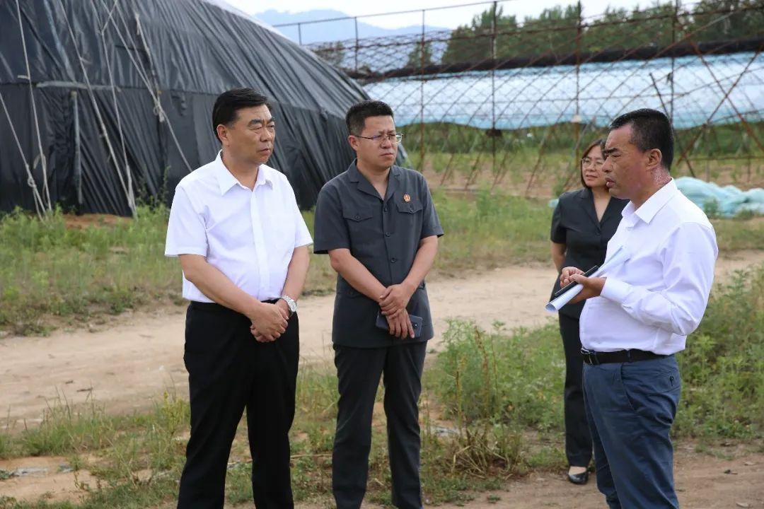 大连十大人身损害赔偿律师所2026年本年度热度口碑双榜对比