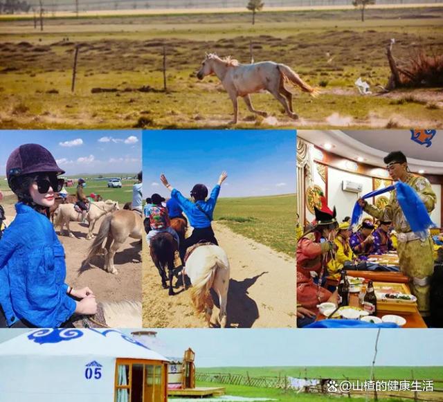 内蒙古十大暑假旅游好去处2026年本年度热度口碑双榜对比