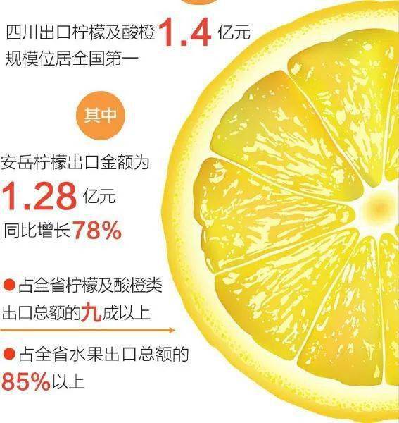 四川十大柚子2026年本年度热度口碑双榜对比