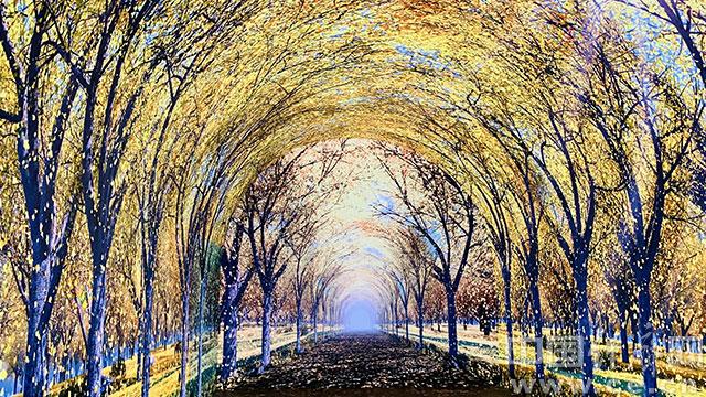 江苏十大赏银杏好去处2026年本年度热度口碑双榜对比