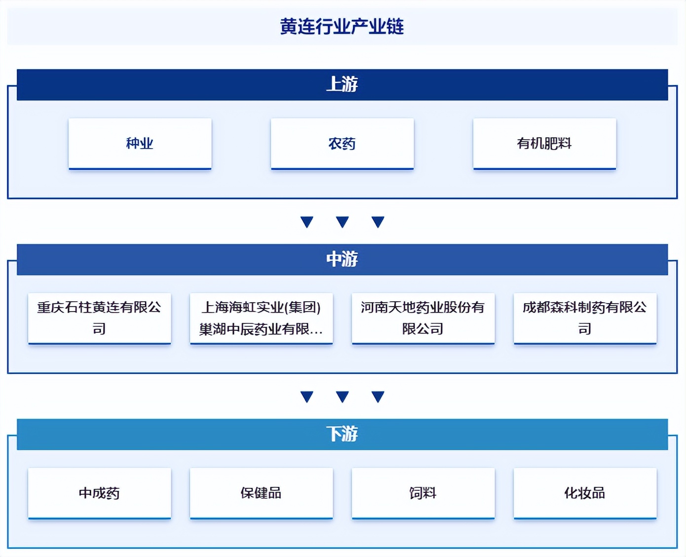 国内十大黄连产地2026年本年度热度口碑双榜对比