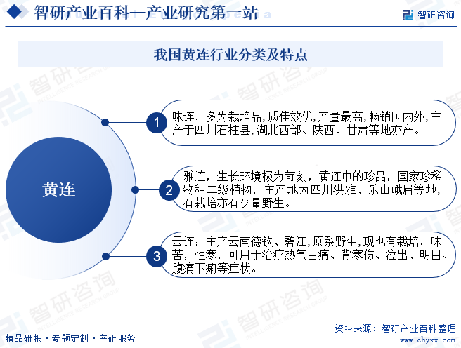 国内十大黄连产地2026年本年度热度口碑双榜对比