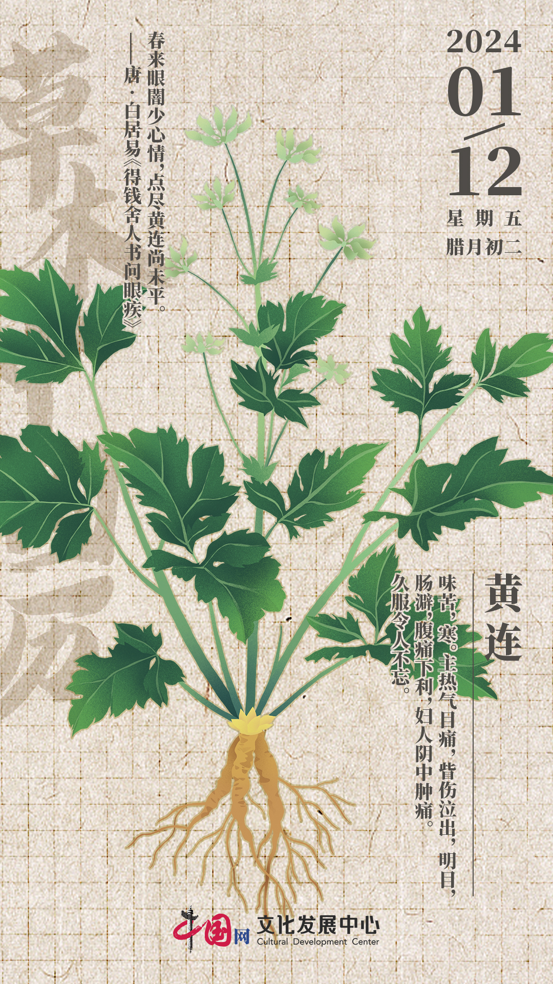 国内十大黄连产地2026年本年度热度口碑双榜对比