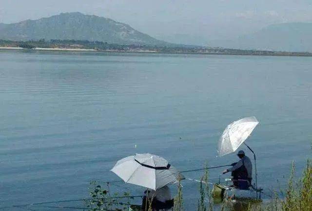 重庆十大钓鱼好地方2026年本年度热度口碑双榜对比