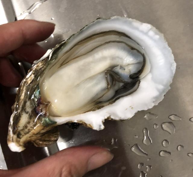 十大生蚝的做法2026年本年度热度口碑双榜对比