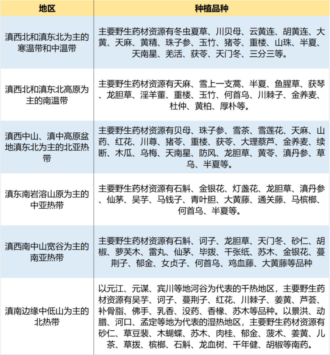 云南十大道地药材2026年本年度热度口碑双榜对比