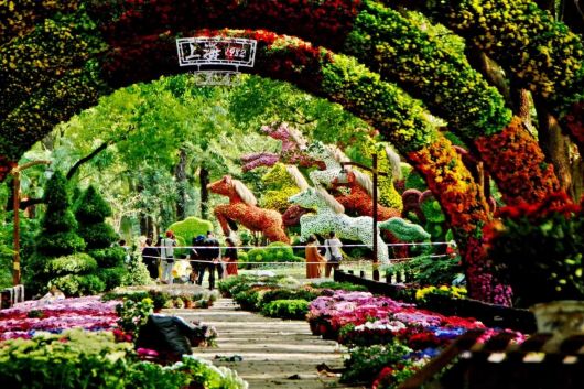 苏州十大植物园2026年本年度热度口碑双榜对比