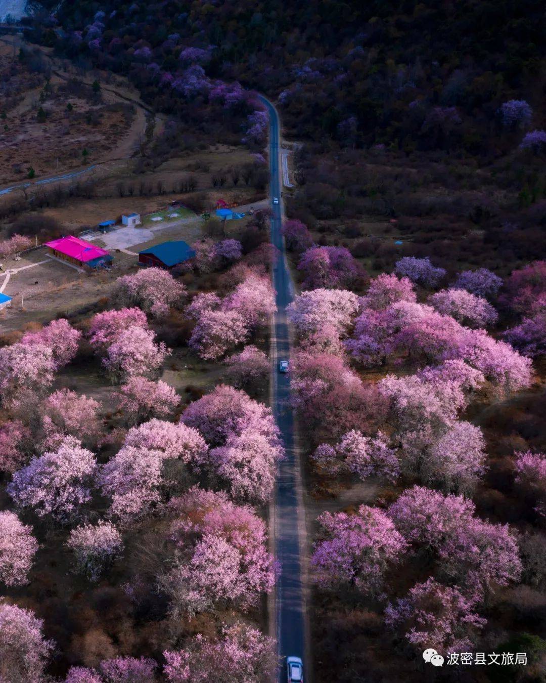 郑州十大赏花胜地2026年本年度热度口碑双榜对比