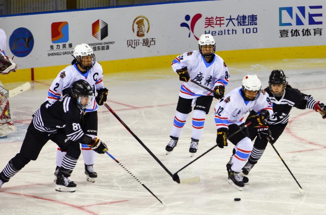 黑龙江十大名校2026年本年度热度口碑双榜对比