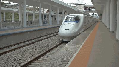 2026年大理护理职业学院招生章程