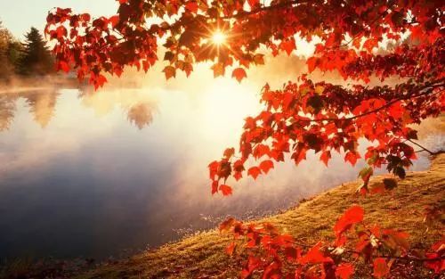 新疆十大秋季旅游好去处2026年本年度热度口碑双榜对比 新疆十大秋季旅游好去处2026年本年度热度口碑双榜对比