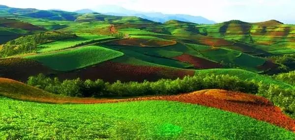 密云区自然景观前十名2026年本年度热度口碑双榜对比