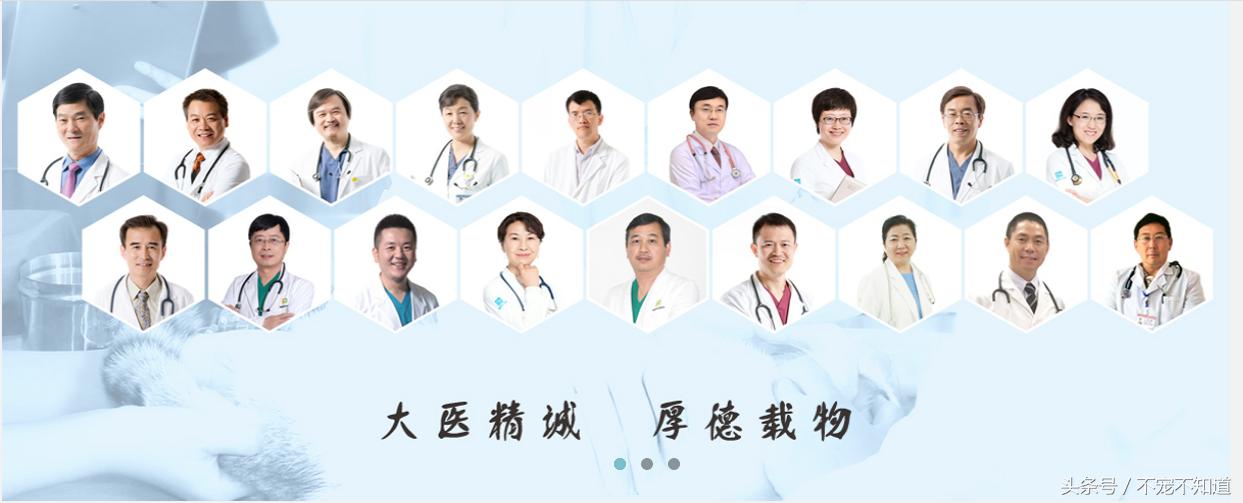 广州十大皮肤科医院2026年本年度热度口碑双榜对比 广州十大皮肤科医院2026年本年度热度口碑双榜对比