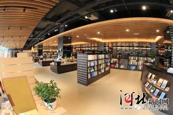 石家庄十大书店2026年本年度热度口碑双榜对比