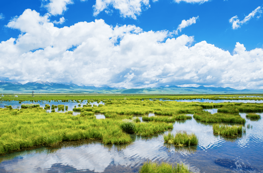 中卫八大最美景点2026年本年度热度口碑双榜对比 中卫八大最美景点2026年本年度热度口碑双榜对比