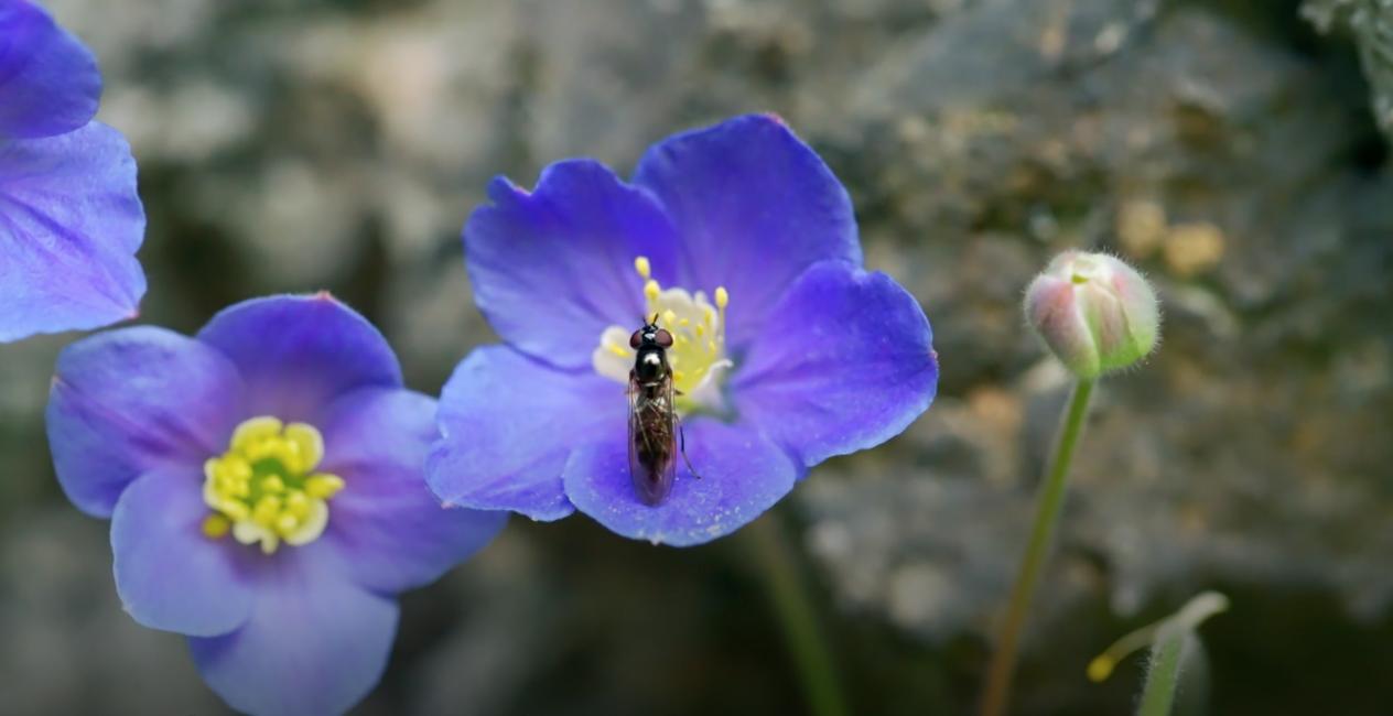 十部经典人工智能电影2026年本年度热度口碑双榜对比 十部经典人工智能电影2026年本年度热度口碑双榜对比