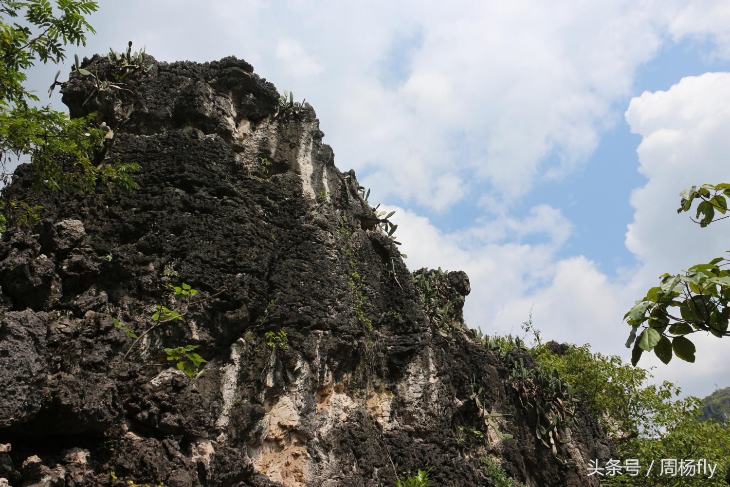 黄果树瀑布景区十大特产2026年本年度热度口碑双榜对比