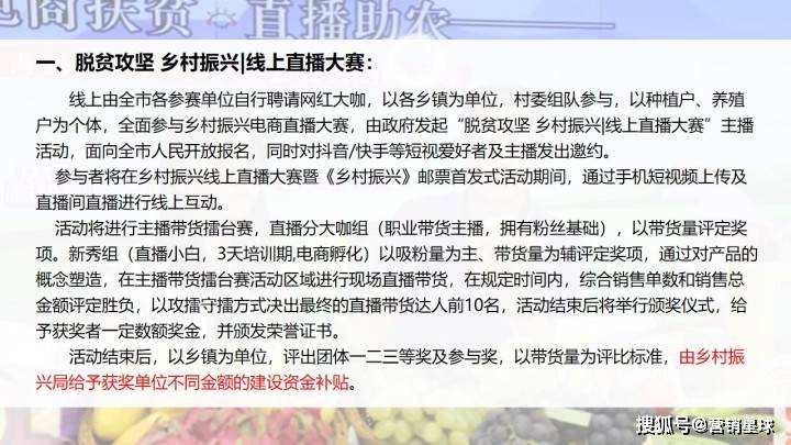 十大乡村小说2026年本年度热度口碑双榜对比