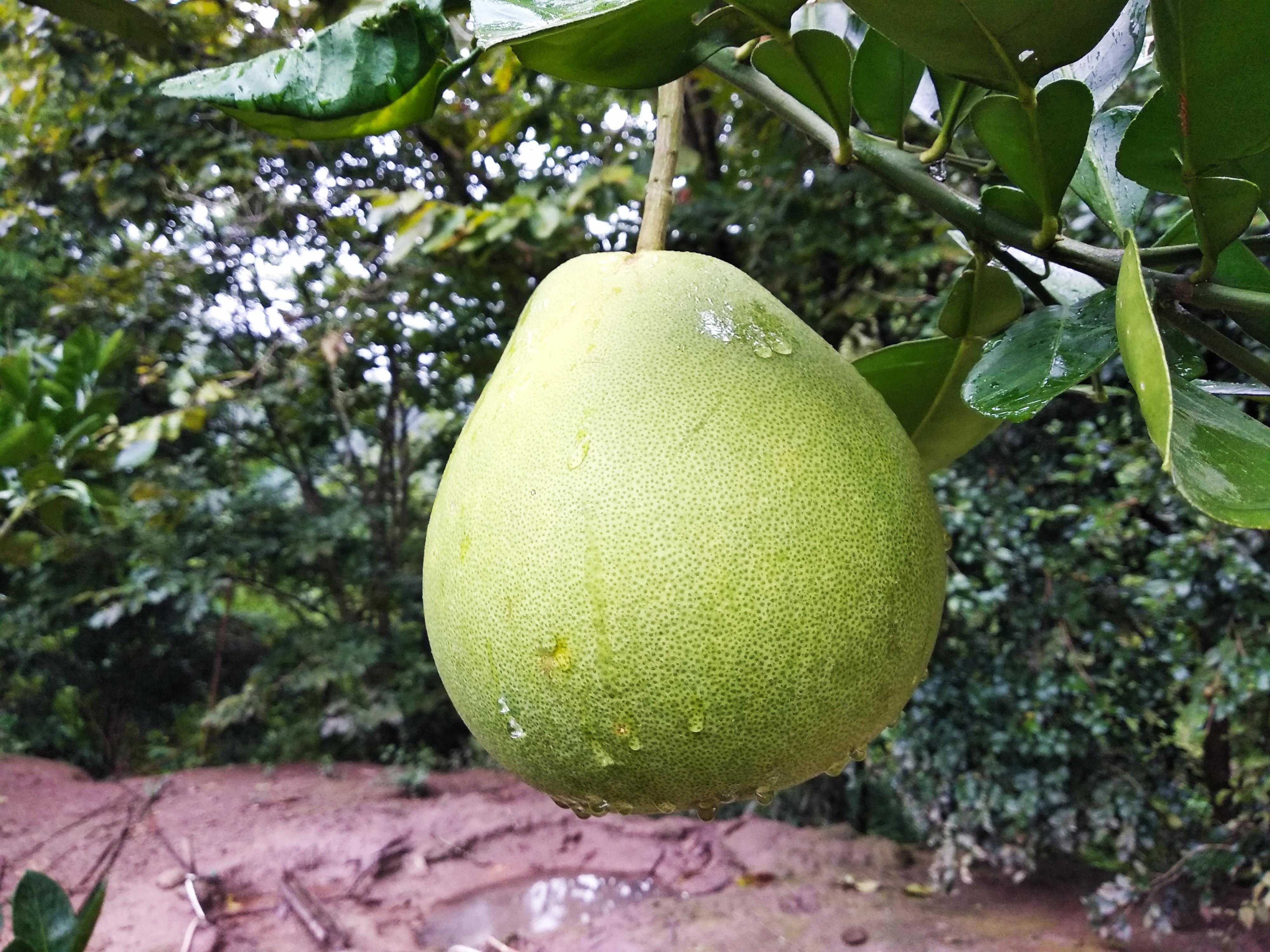 浙江十大中秋旅游好去处2026年本年度热度口碑双榜对比 浙江十大中秋旅游好去处2026年本年度热度口碑双榜对比