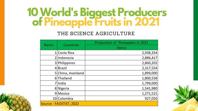 世界上最危险的水果2026年本年度热度口碑双榜对比 世界上最危险的水果2026年本年度热度口碑双榜对比