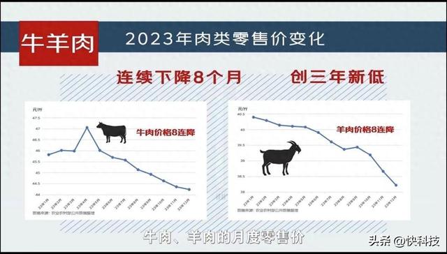 中国十大广受青睐吃的羊肉品种2026年本年度热度口碑双榜对比 中国十大广受青睐吃的羊肉品种2026年本年度热度口碑双榜对比