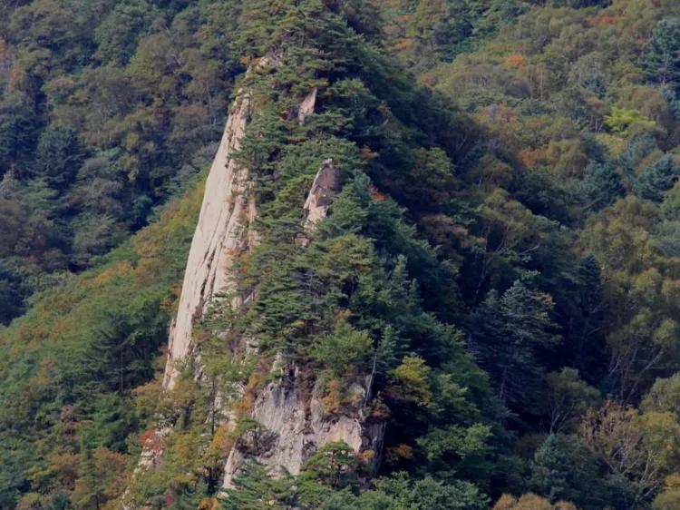 辽宁十大最值得去的景点2026年本年度热度口碑双榜对比