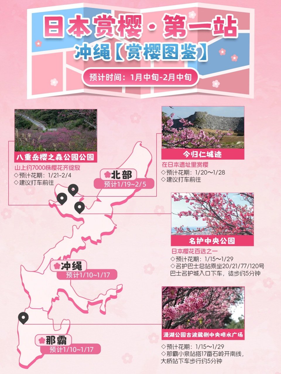 日本樱花最美的十个地方2026年本年度热度口碑双榜对比