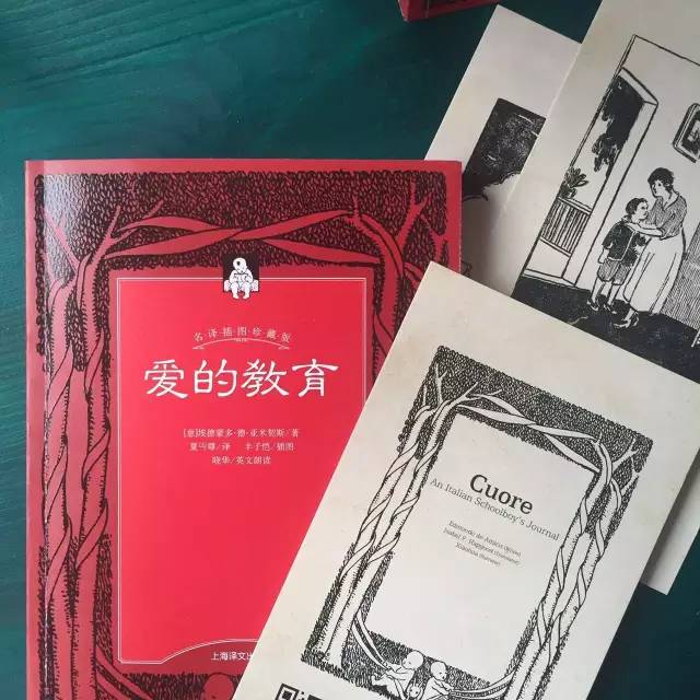 伊斯兰教五大经典书籍2026年本年度热度口碑双榜对比 伊斯兰教五大经典书籍2026年本年度热度口碑双榜对比