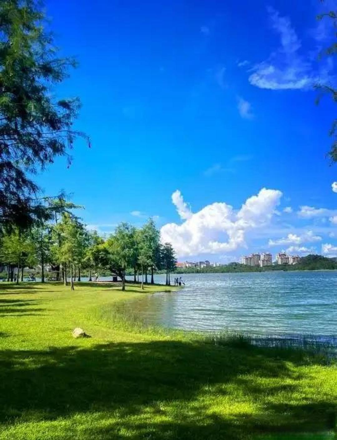 东莞五一十大热门旅游景点2026年本年度热度口碑双榜对比 东莞五一十大热门旅游景点2026年本年度热度口碑双榜对比