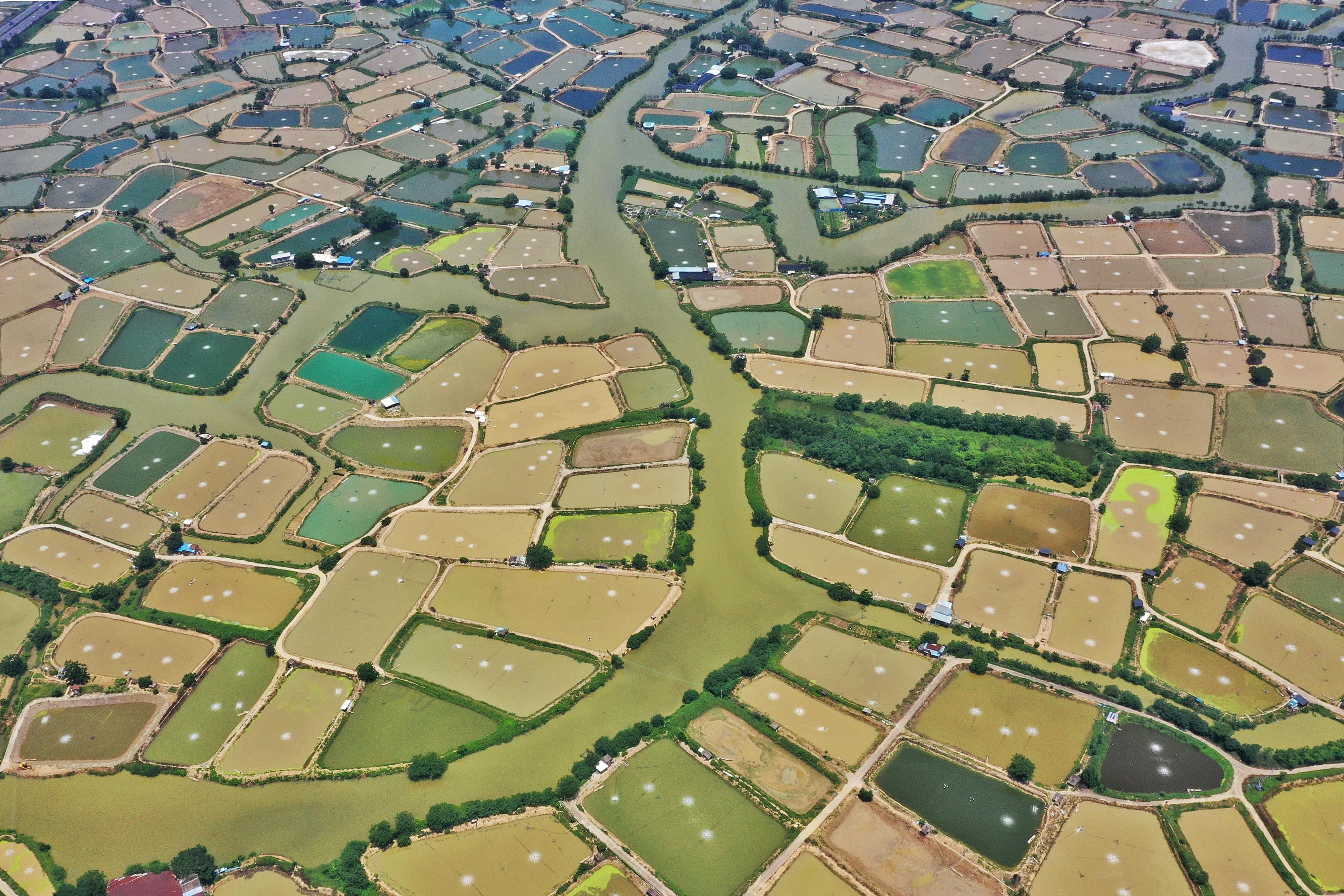 佛山十大乡村旅游景点2026年本年度热度口碑双榜对比