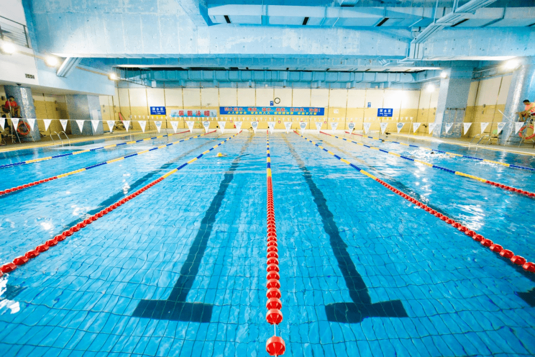 深圳十大游泳馆2026年本年度热度口碑双榜对比