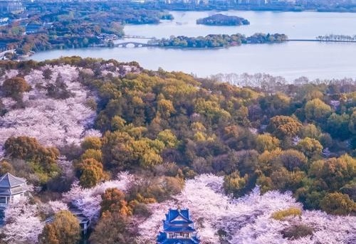 无锡广受青睐玩的十大景点2026年本年度热度口碑双榜对比 无锡广受青睐玩的十大景点2026年本年度热度口碑双榜对比