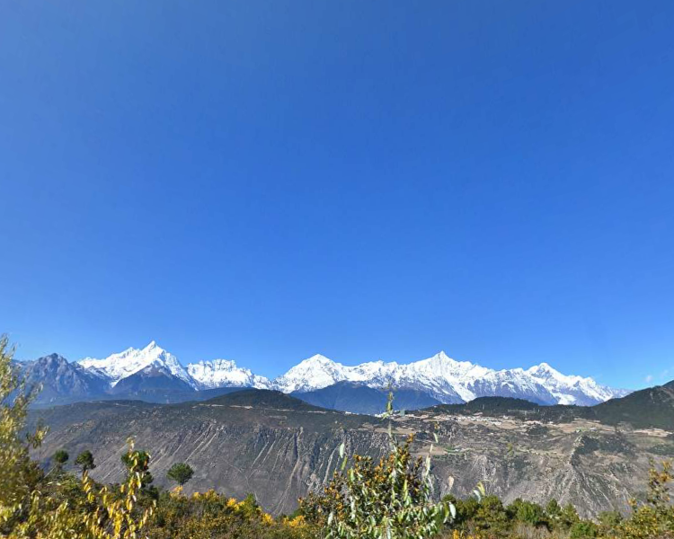 藏传佛教四大神山2026年本年度热度口碑双榜对比