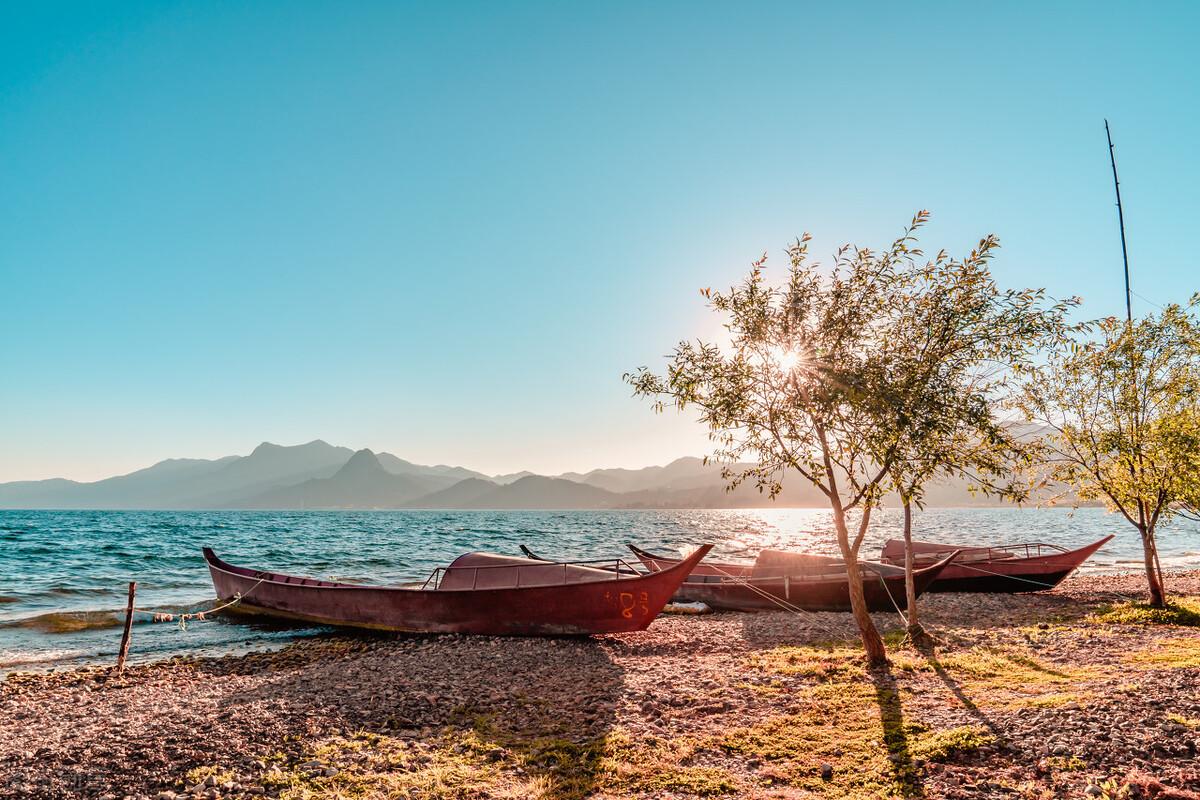 2026年广西职业师范学院招生章程