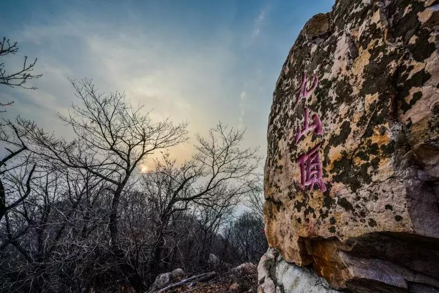 天津十大赏花胜地2026年本年度热度口碑双榜对比