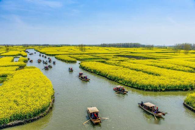 长沙十大赏油菜花好去处2026年本年度热度口碑双榜对比