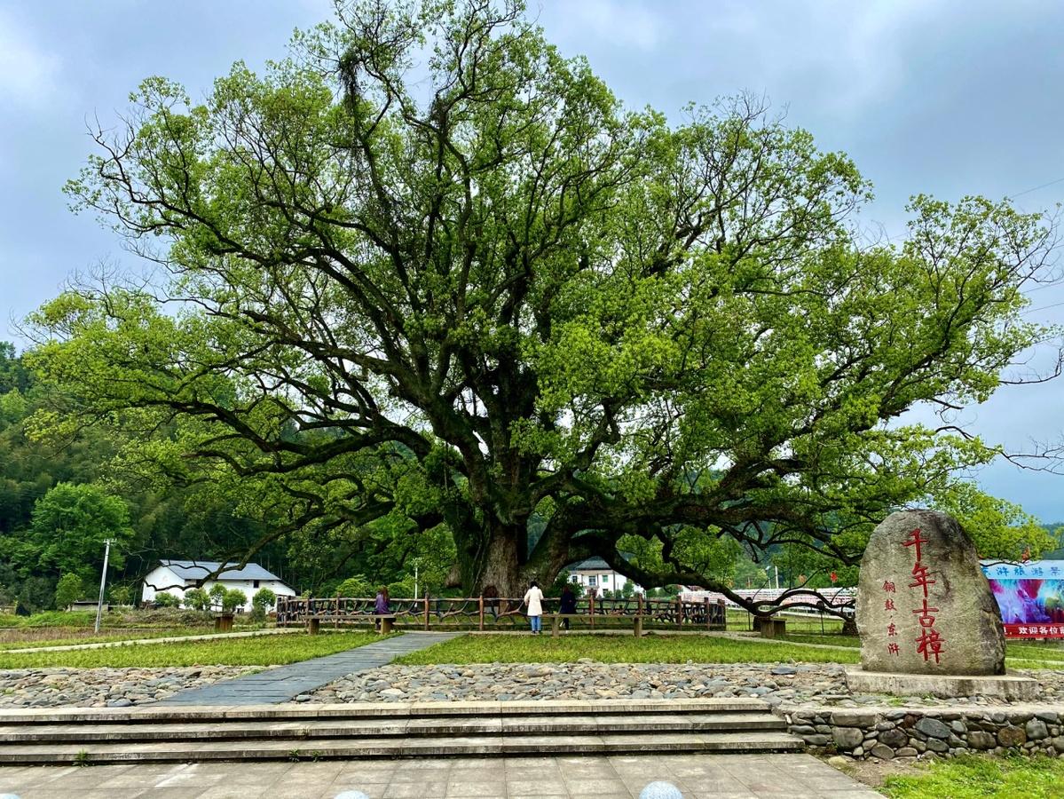 江西十大著名道观2026年本年度热度口碑双榜对比 江西十大著名道观2026年本年度热度口碑双榜对比