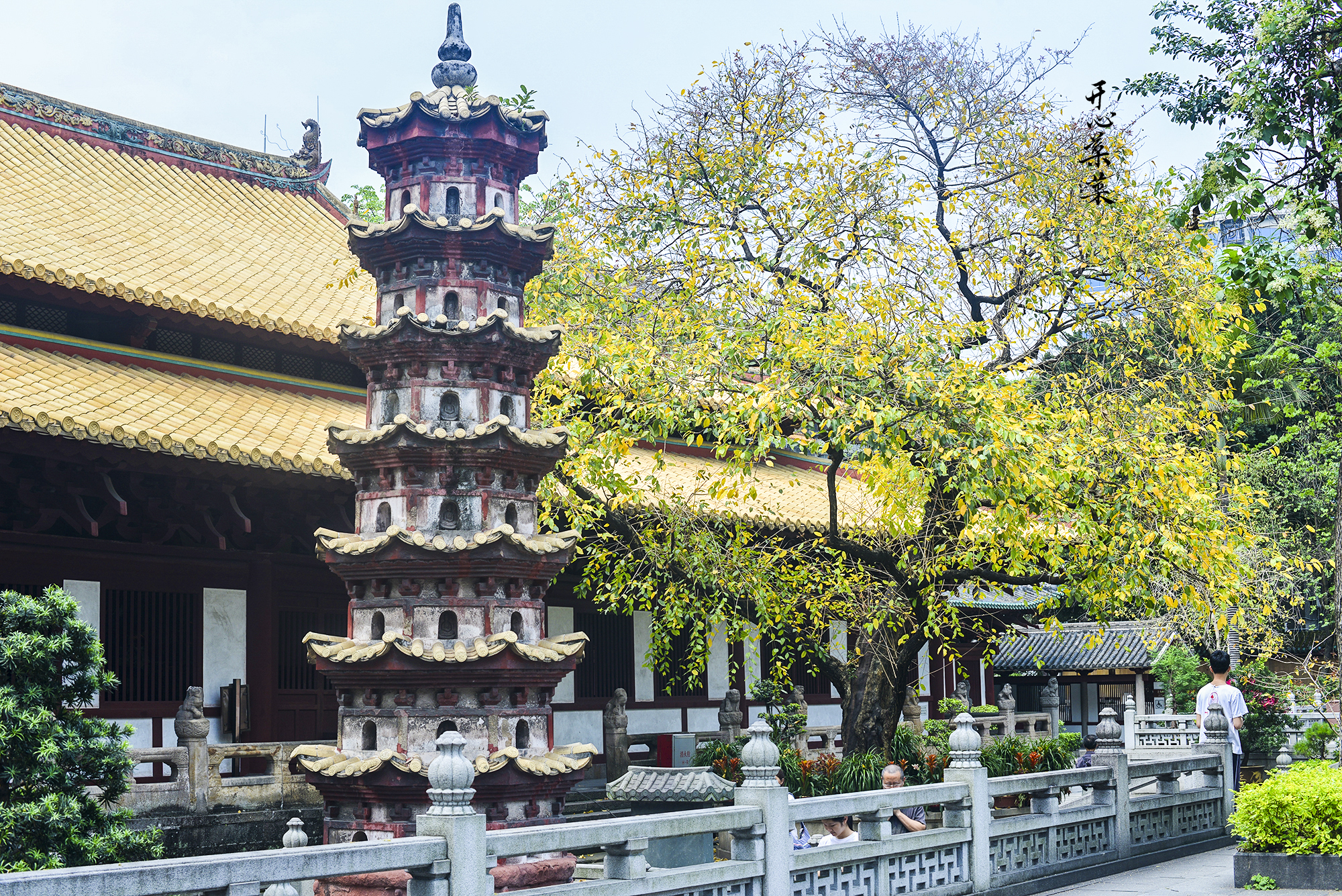 广州十大著名寺庙2026年本年度热度口碑双榜对比 广州十大著名寺庙2026年本年度热度口碑双榜对比