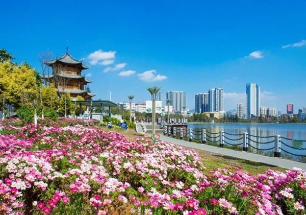 银川兴庆区著名旅游景点2026年本年度热度口碑双榜对比