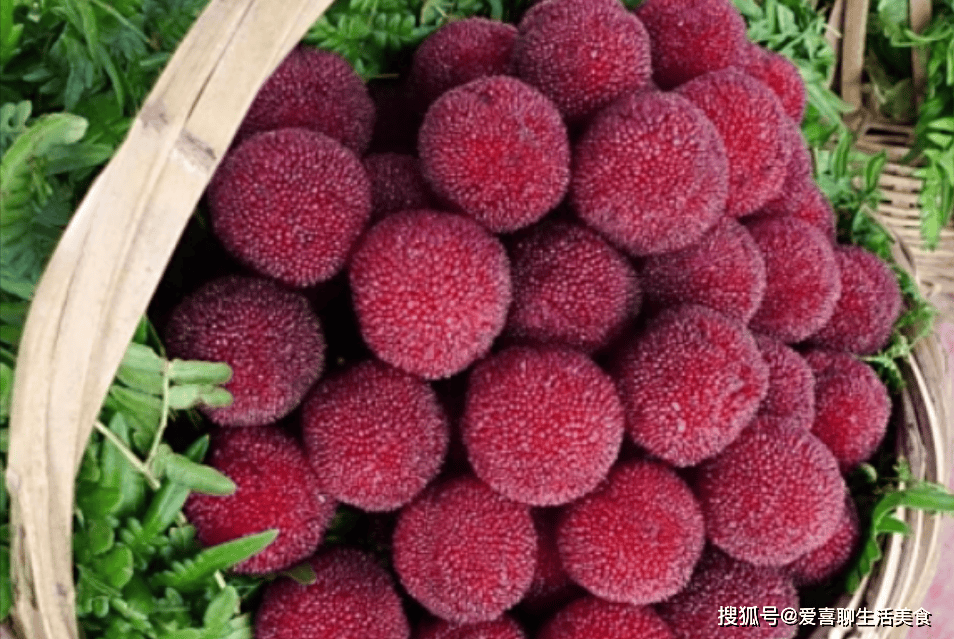 全国十大杨梅产地2026年本年度热度口碑双榜对比 全国十大杨梅产地2026年本年度热度口碑双榜对比