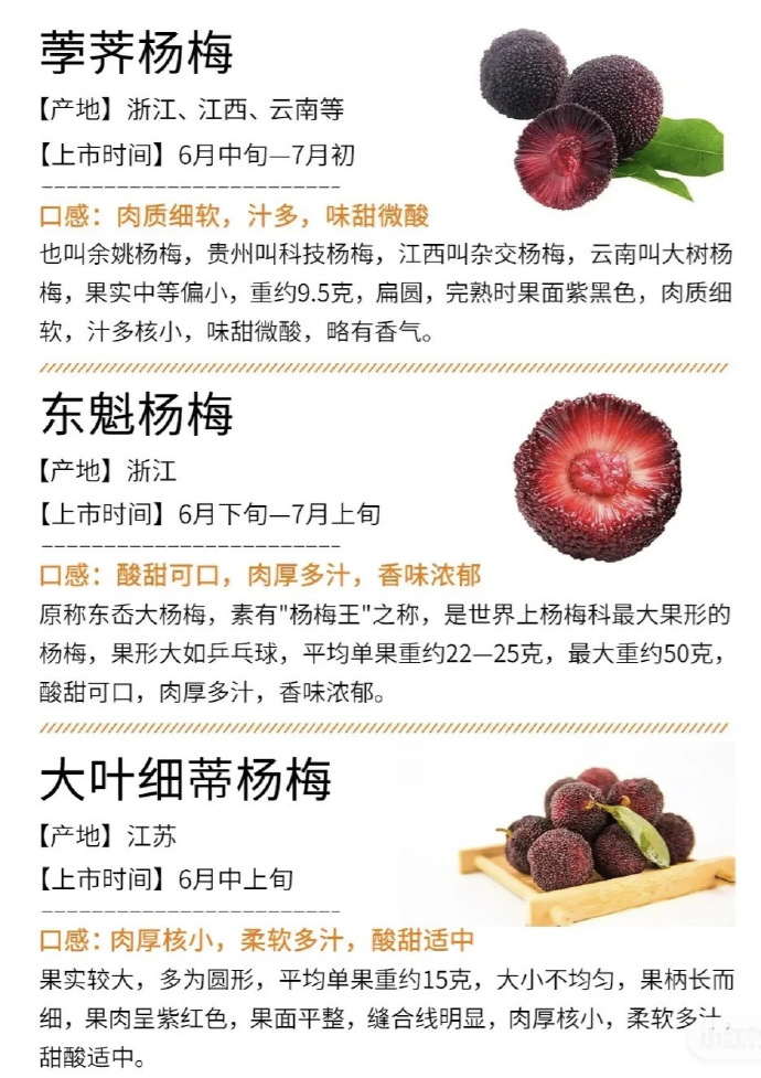 全国十大杨梅产地2026年本年度热度口碑双榜对比