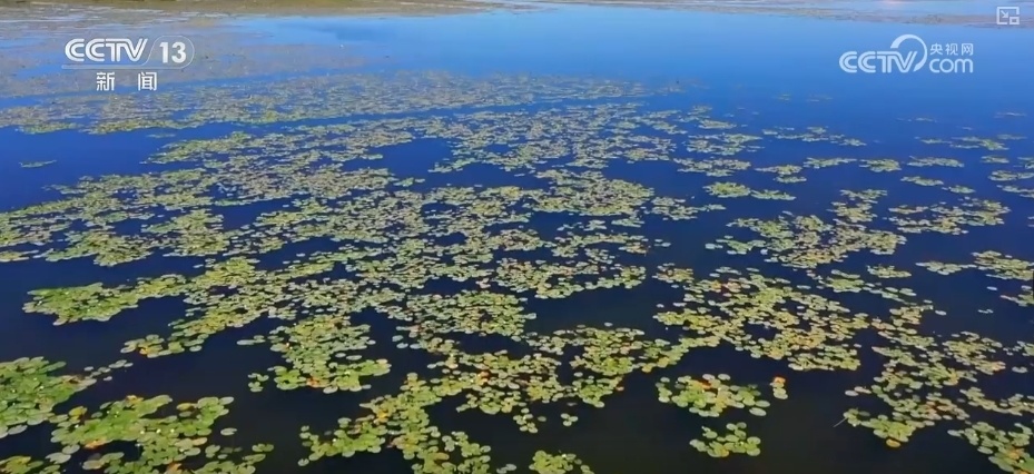 中国十大平地湖泊2026年本年度热度口碑双榜对比 中国十大平地湖泊2026年本年度热度口碑双榜对比