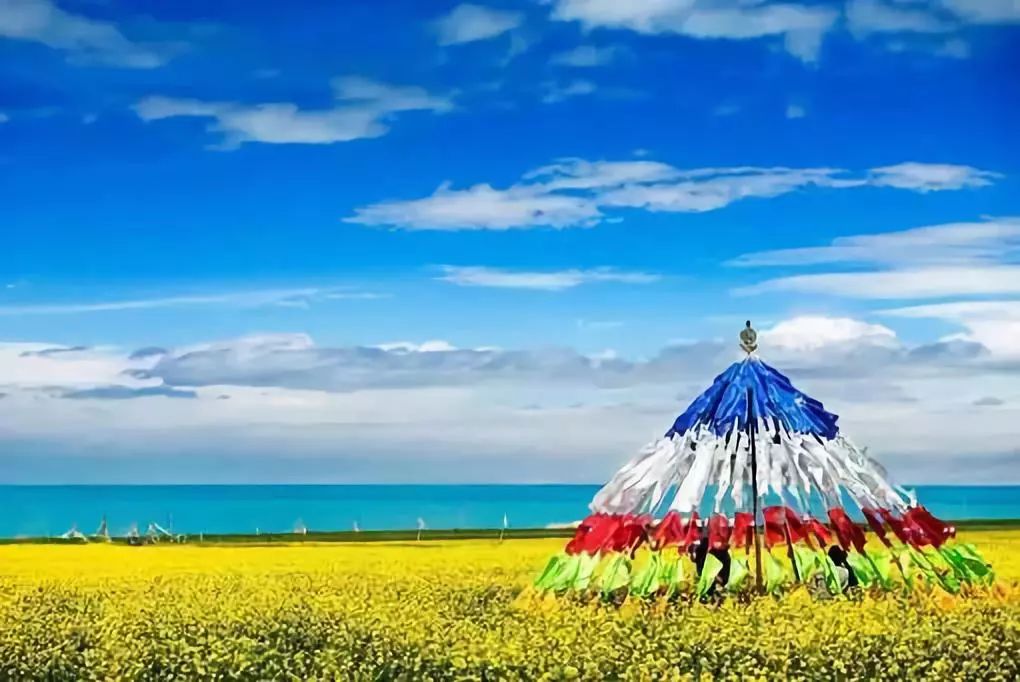 青海十大民俗旅游胜地2026年本年度热度口碑双榜对比