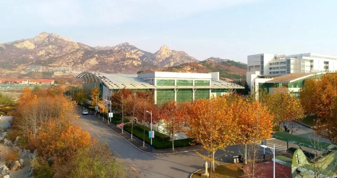 2026年青岛黄海学院招生章程