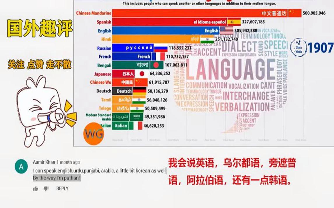 世界影响力最大的十种语言2026年本年度热度口碑双榜对比